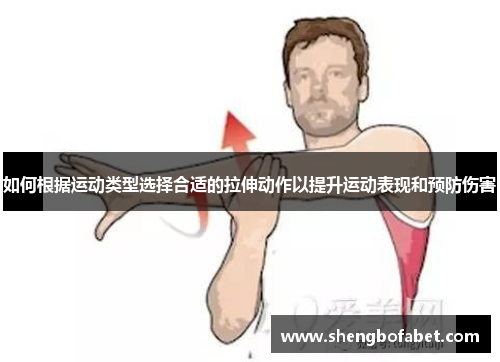 如何根据运动类型选择合适的拉伸动作以提升运动表现和预防伤害